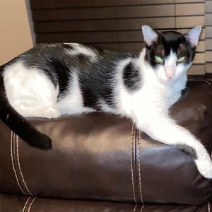 Meet your Posher, Clara